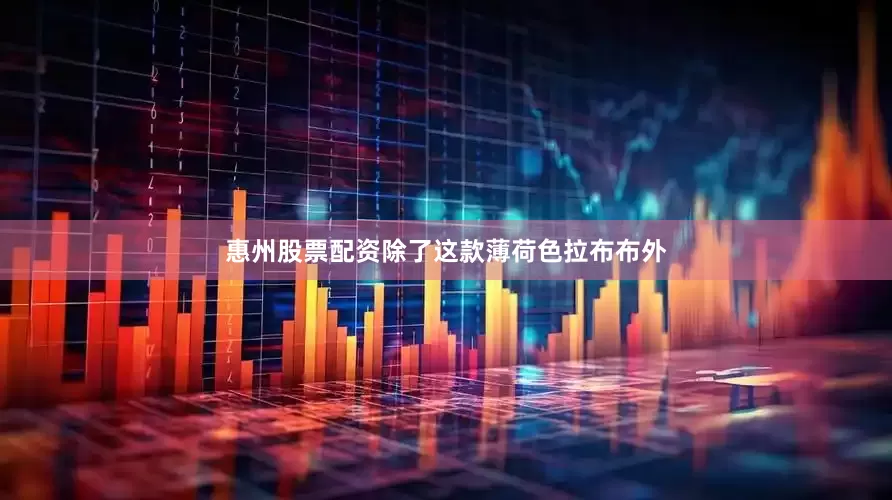 惠州股票配资除了这款薄荷色拉布布外