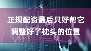 正规配资最后只好帮它调整好了枕头的位置