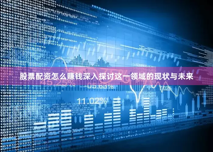 股票配资怎么赚钱深入探讨这一领域的现状与未来