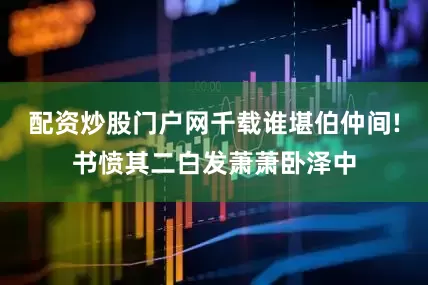 配资炒股门户网千载谁堪伯仲间!书愤其二白发萧萧卧泽中